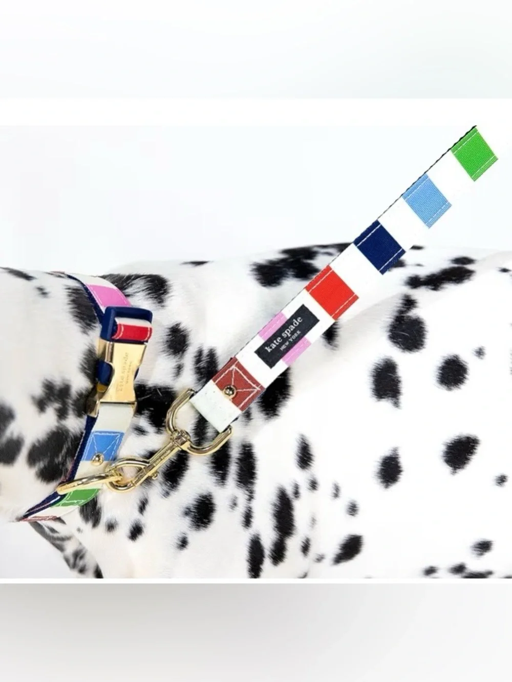 Kate Spade New York Heavy Duty Leash for Female or Male Dogs